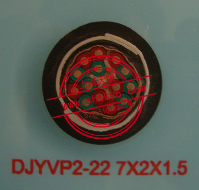 DJYVP2-22 7*2*1.5鎧裝屏蔽計(jì)算機(jī)電纜